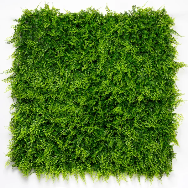 Gw188009a Fernjuniperus Zeleni Zid 50x50cm Uv