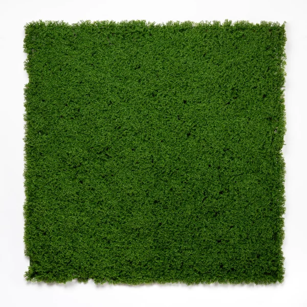 Gw188080d Dark Moss Zeleni Zid 50x50cm Uv