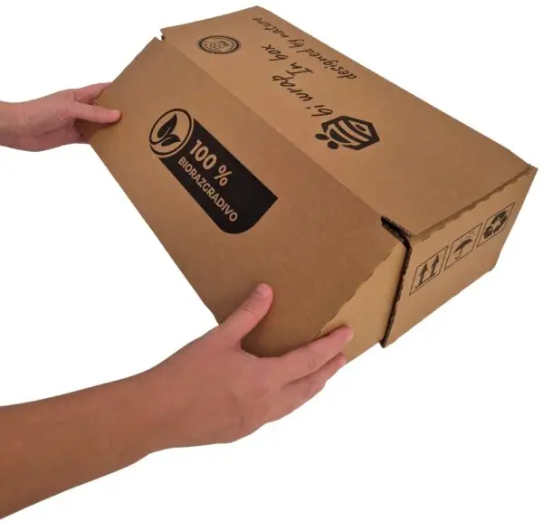 Box 1